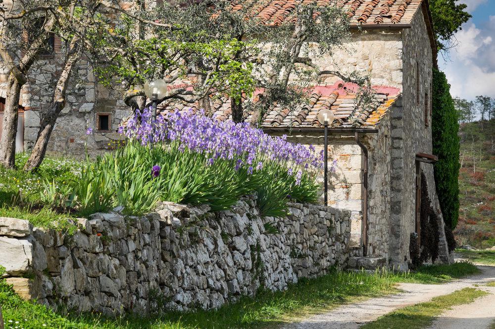 Вилла Querceto Di Castellina Кастелина ин Шианти Экстерьер фото